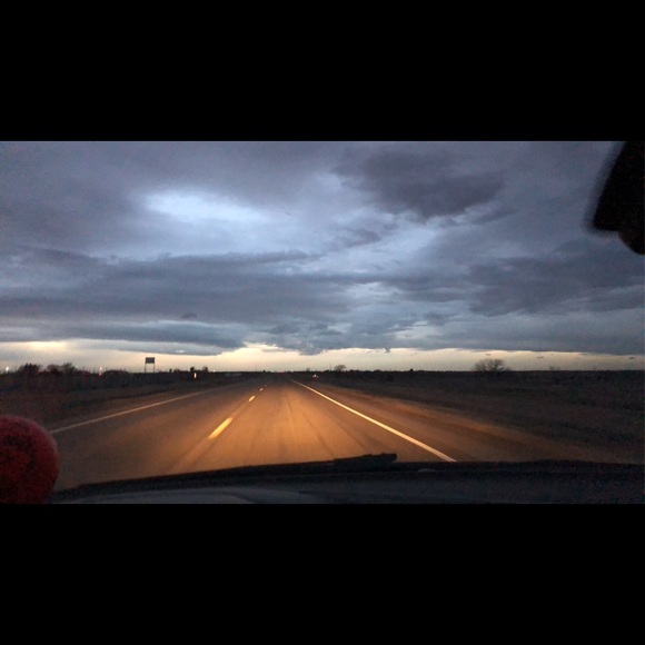 Meet your Posher, Presley - Picture 1 of 2